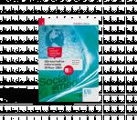 Cover-Bild Wirtschaftsinformatik II/III HAK, Office 365 + TRAUNER-DigiBox