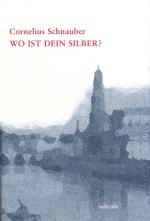 Cover-Bild Wo ist dein Silber?