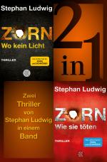 Cover-Bild Wo kein Licht / Wie sie töten - Zwei Zorn-Thriller in einem Band