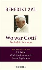 Cover-Bild Wo war Gott?