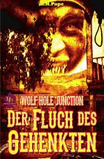 Cover-Bild WOLF HOLE JUNCTION