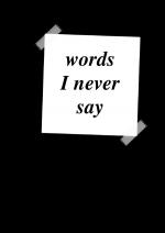 Cover-Bild words I never say