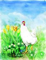 Cover-Bild Wunder mit Huhn
