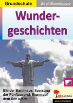 Cover-Bild Wundergeschichten