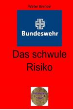 Cover-Bild Zeitgeschichte / Das schwule Risiko