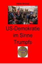 Cover-Bild Zeitgeschichte / US-Demokratie im Sinne Trumps