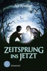 Cover-Bild Zeitsprung ins Jetzt