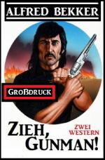 Cover-Bild Zieh, Gunman!