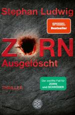 Cover-Bild Zorn – Ausgelöscht