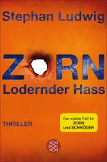 Cover-Bild Zorn - Lodernder Hass