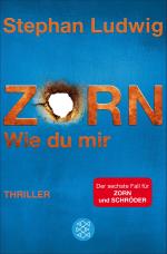 Cover-Bild Zorn - Wie du mir