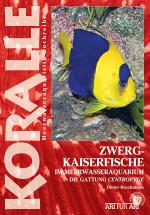 Cover-Bild Zwergkaiserfische im Meerwasseraquarium