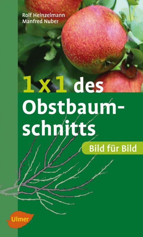 Cover-Bild 1 x 1 des Obstbaumschnitts