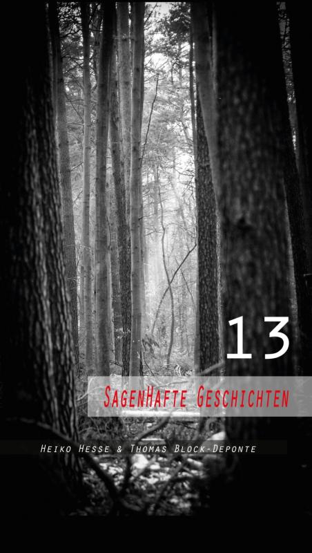 Cover-Bild 13 Sagenhafte Geschichten