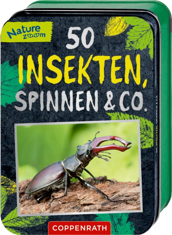 Cover-Bild 50 Insekten, Spinnen & Co.