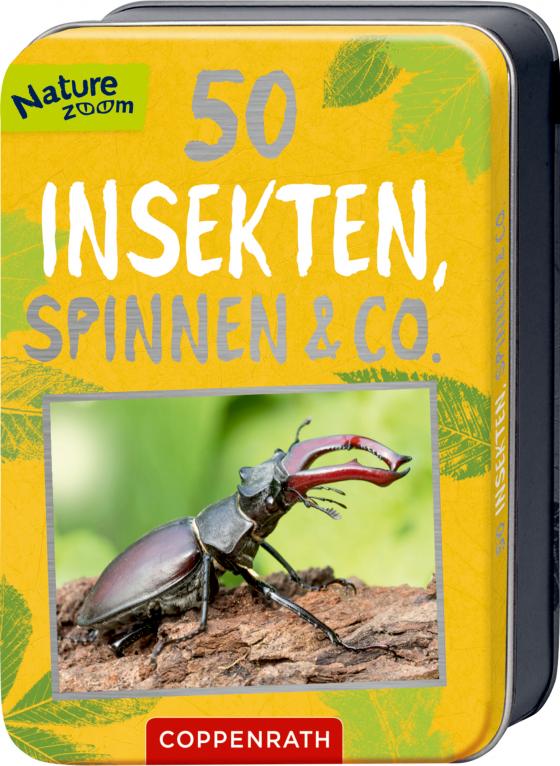 Cover-Bild 50 Insekten, Spinnen & Co.