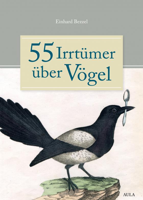 Cover-Bild 55 Irrtümer über Vögel