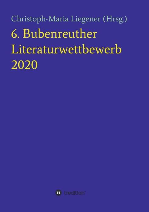 Cover-Bild 6. Bubenreuther Literaturwettbewerb