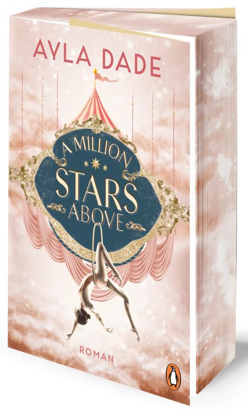 Cover-Bild A Million Stars Above