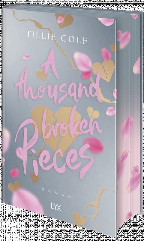 Cover-Bild A Thousand Broken Pieces: Special Edition