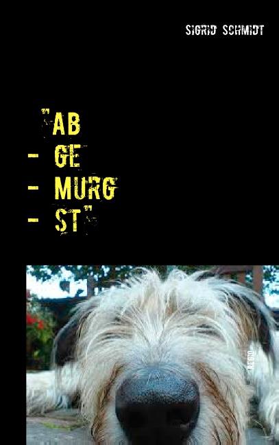 Cover-Bild "Ab - ge - Murg - st"