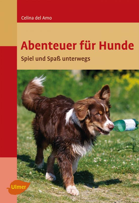 Cover-Bild Abenteuer für Hunde