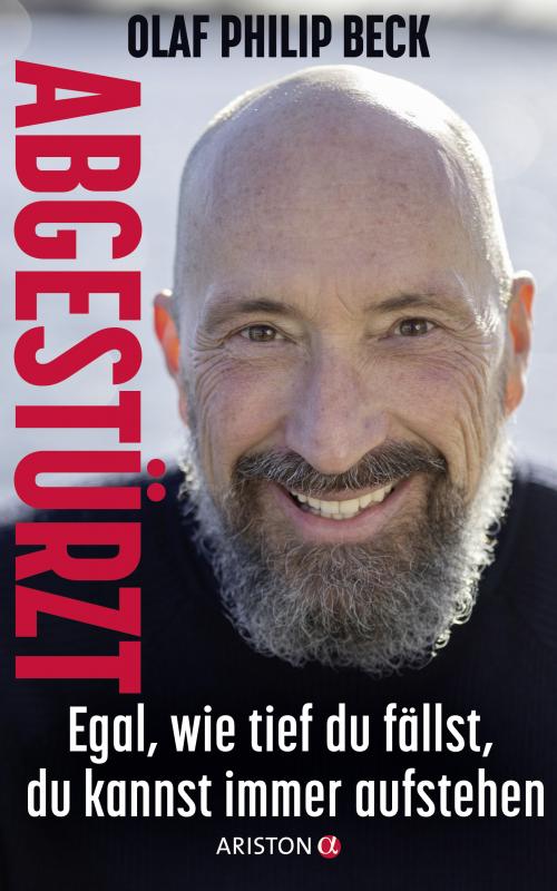 Cover-Bild Abgestürzt