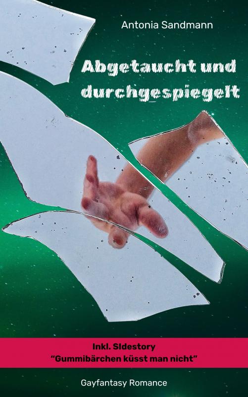 Cover-Bild Abgetaucht und durchgespiegelt