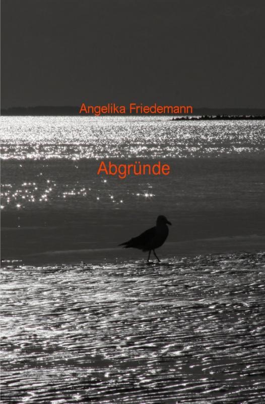 Cover-Bild Abgründe