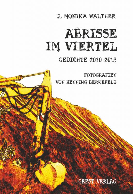 Cover-Bild Abrisse im Viertel