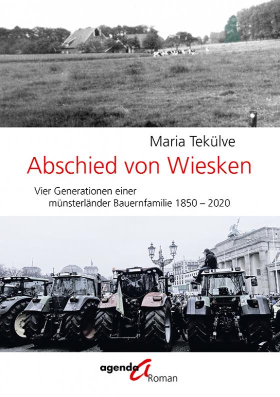 Cover-Bild Abschied von Wiesken