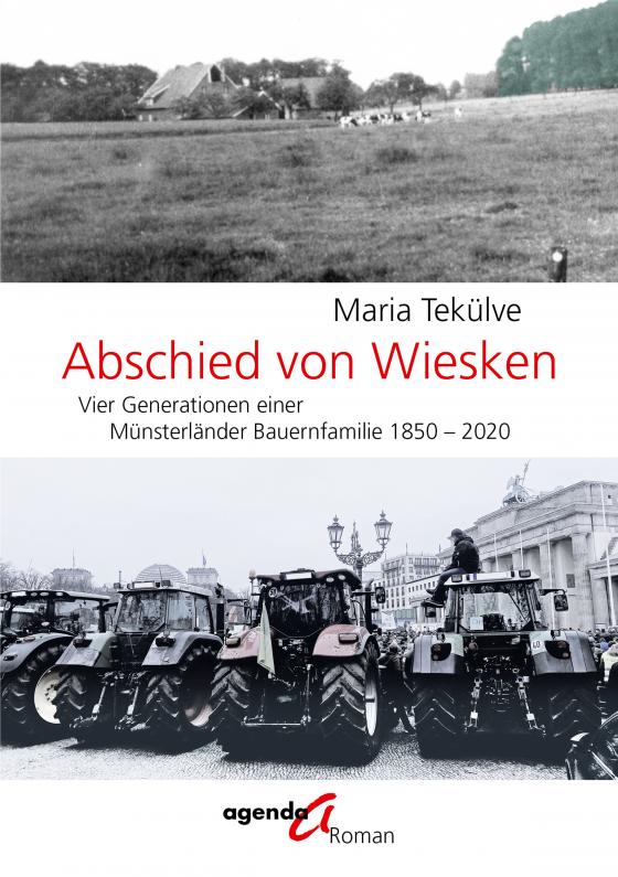 Cover-Bild Abschied von Wiesken