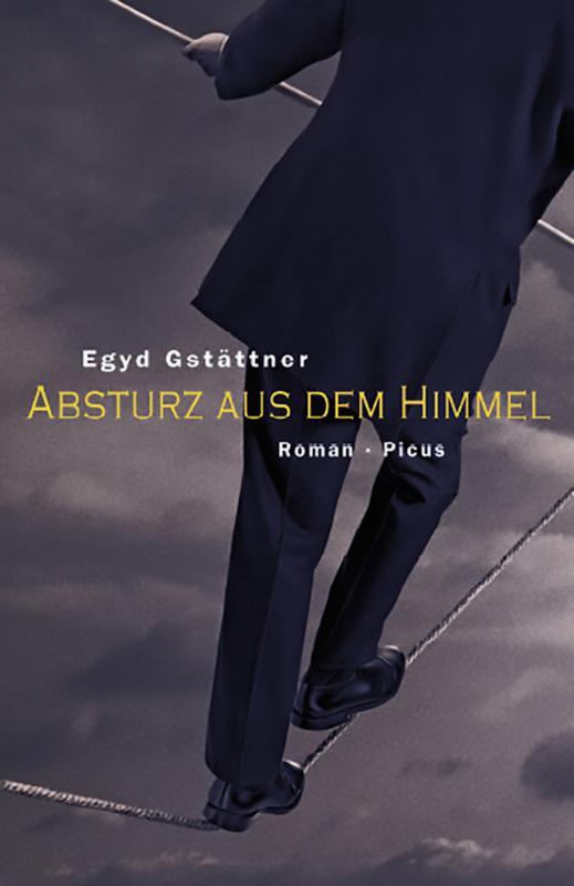 Cover-Bild Absturz aus dem Himmel