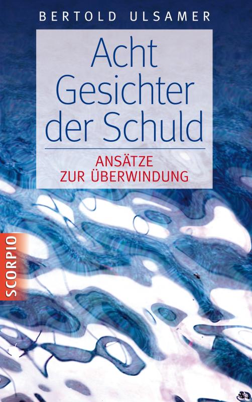 Cover-Bild Acht Gesichter der Schuld