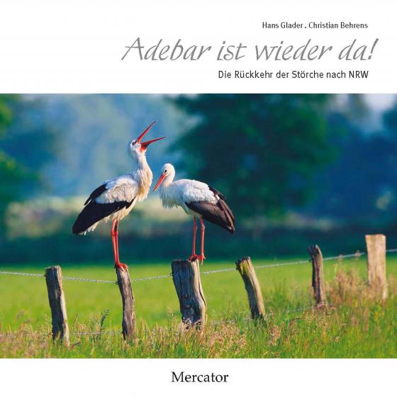 Cover-Bild Adebar ist wieder da!