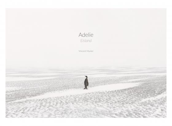 Cover-Bild Adelie: Eismeer – Eisland