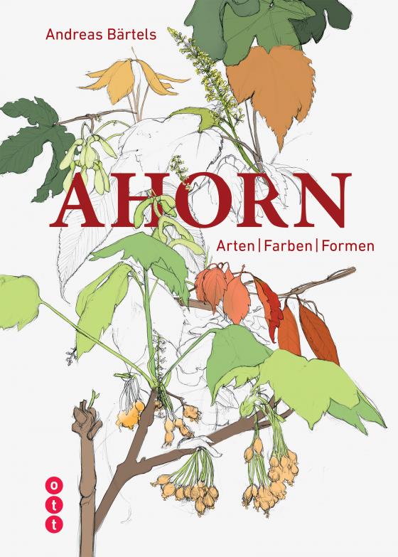 Cover-Bild Ahorn
