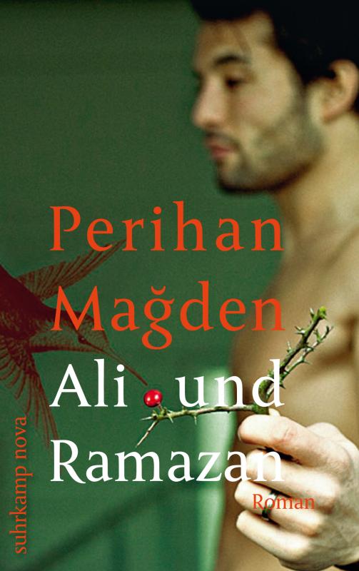 Cover-Bild Ali und Ramazan