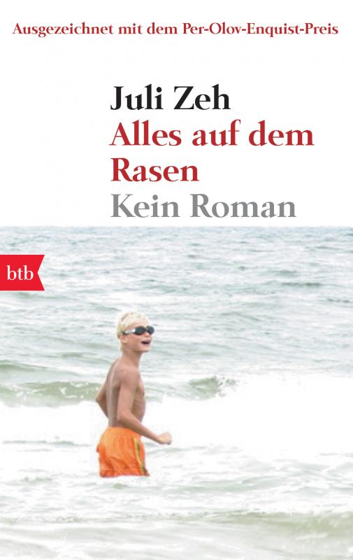 Cover-Bild Alles auf dem Rasen