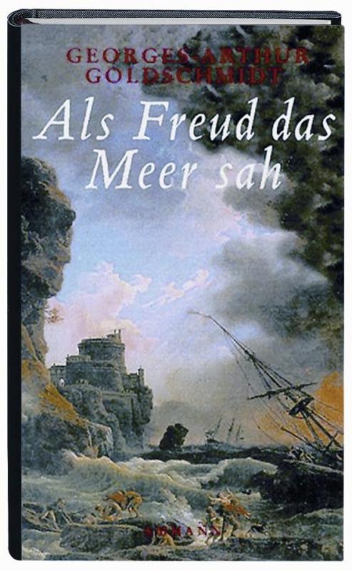 Cover-Bild Als Freud das Meer sah