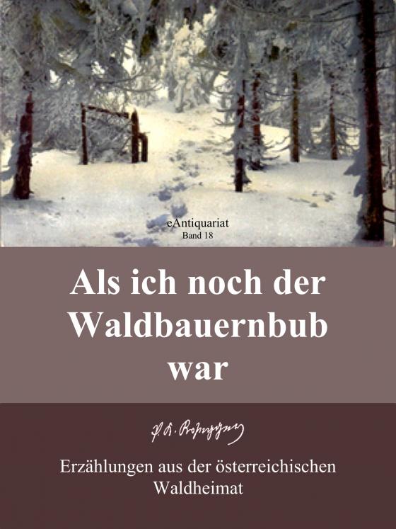 Cover-Bild Als ich noch der Waldbauernbub war