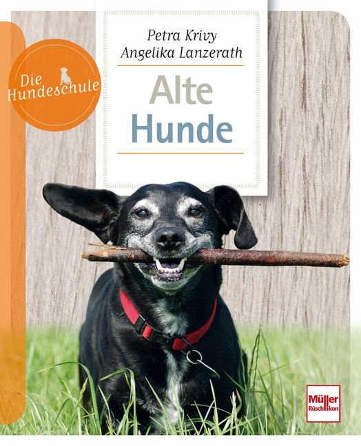 Cover-Bild Alte Hunde