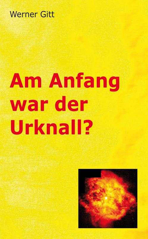 Cover-Bild Am Anfang war der Urknall