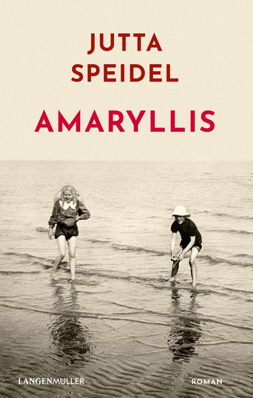 Cover-Bild Amaryllis