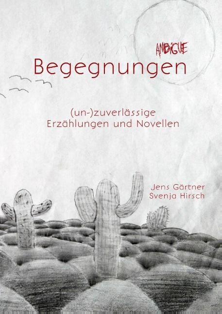 Cover-Bild Ambigue Begegnungen