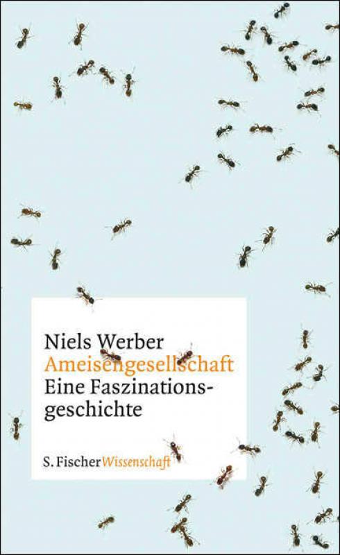 Cover-Bild Ameisengesellschaften
