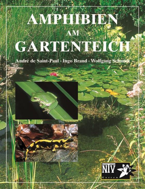 Cover-Bild Amphibien am Gartenteich