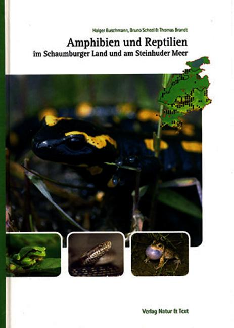 Cover-Bild Amphibien und Reptilien im Schaumburger Land und am Steinhuder Meer