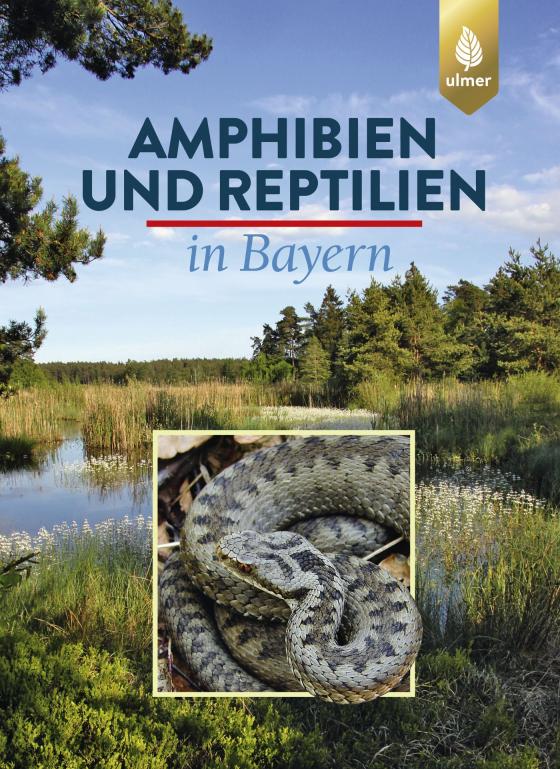 Cover-Bild Amphibien und Reptilien in Bayern