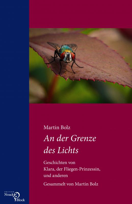 Cover-Bild An der Grenze des Lichts